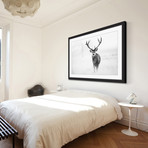 The Lone Buck Framed Painting Print (18"W x 12"H x 1.5"D)