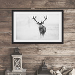 The Lone Buck Framed Painting Print (18"W x 12"H x 1.5"D)