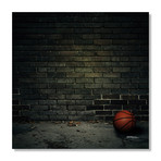 Baketball (16"H x 16"W x 1.5"D)