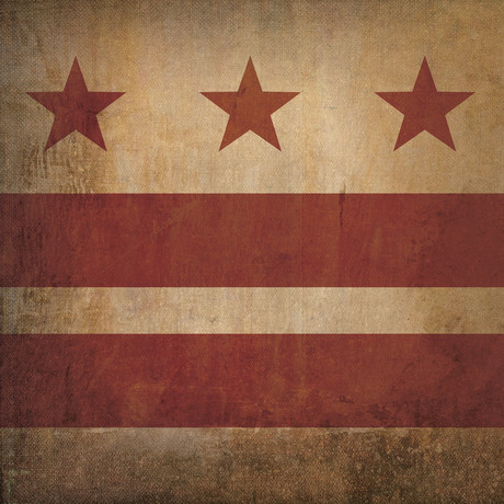 District of Columbia Flag (23"W x 23"H Wooden Print)