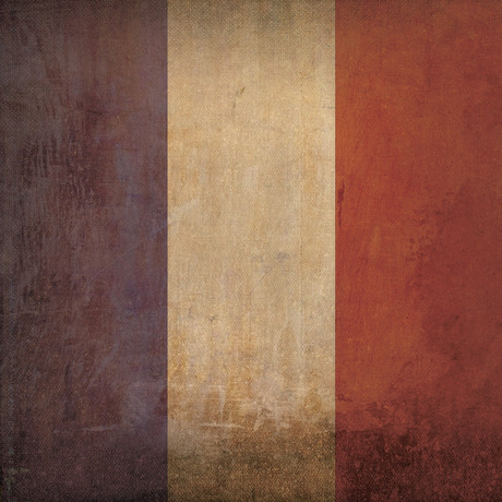 France Flag (23"W x 23"H Wooden Print)