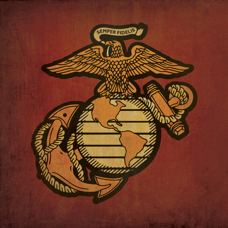Marine Seal (23"W x 23"H Wooden Print)