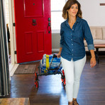 UpCart Deluxe + Bag Combo