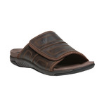 Hatterus // Medium Width // Brown (US: 7)