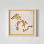3D Wooden Contour Map // Great Lakes