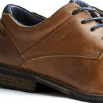 Downton Low Shoe // Cognac (EUR: 46)