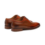 Walcot Leather Oxford // Tan (US: 7)