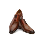 Walcot Leather Oxford // Brown (US: 11)