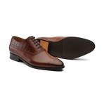 Albert Leather Oxford // Brown (US: 7)