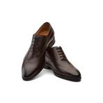 Swan Neck Leather Oxford // Brown (US: 10)