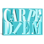 Carpe Diem (18"W x 26"H x 0.75"D)