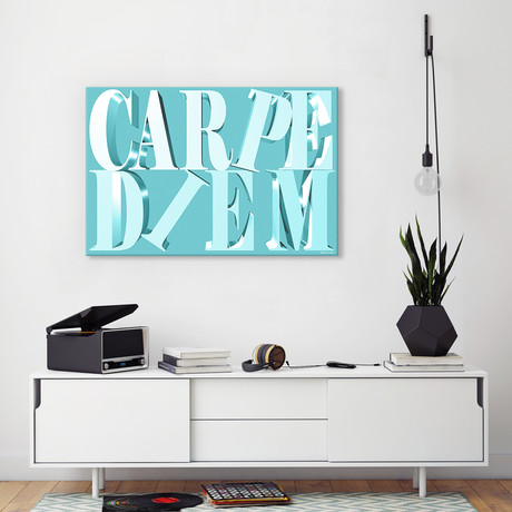 Carpe Diem (18"W x 26"H x 0.75"D)