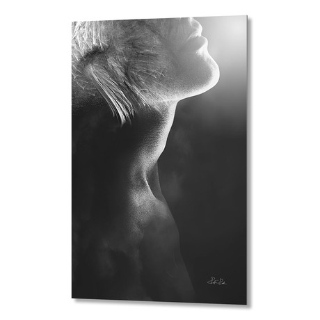 Untitled // Aluminum Print (16"W x 24"H x 0.2"D)