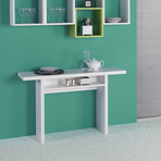 RITZ // Extendable Console + Dining Table (White Wash)