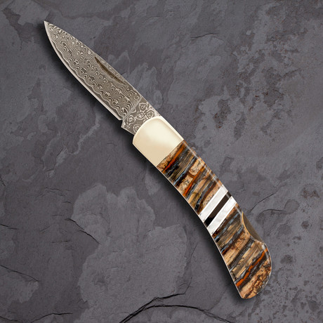 Woolly Mammoth Tooth Collection // 3" Damascus Lockback Knife