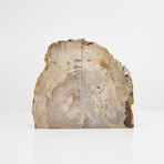 Petrified Wood Bookends