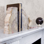 Petrified Wood Bookends