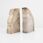 Petrified Wood Bookends