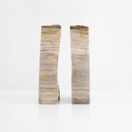 Petrified Wood Bookends