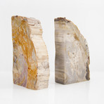 Petrified Wood Bookends