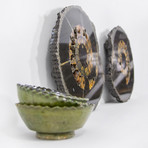 Speetoniceras Ammonite // Set of 2