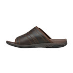 Hatterus // X-Wide // Brown (US: 7)