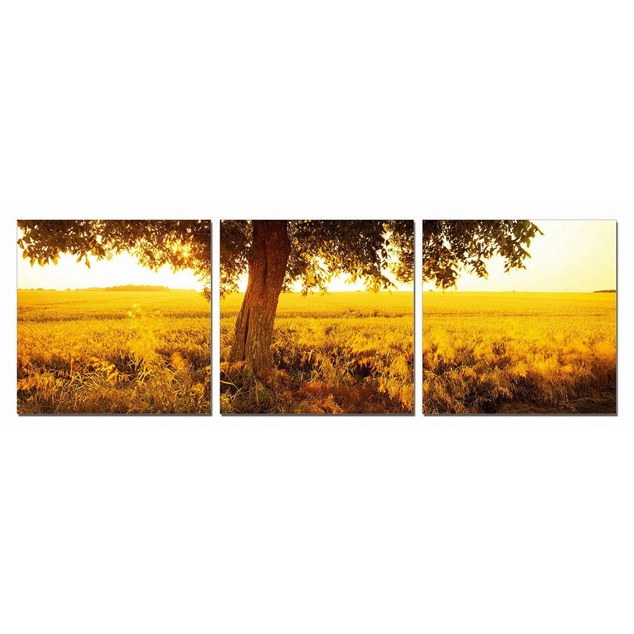 Landscape Triptychs - Nature in Threes - Touch of Modern