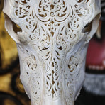 Hand Carved Buffalo Skull // Flower