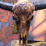 Hand Carved Buffalo Skull // Antique Heart