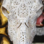 Hand Carved Buffalo Skull // Swirls 1