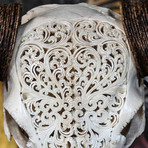 Hand Carved Buffalo Skull // Swirls 2
