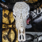 Hand Carved Buffalo Skull // Swirls 3