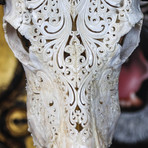 Hand Carved Buffalo Skull // Swirls 3