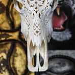 Hand Carved Buffalo Skull // Tribal 2