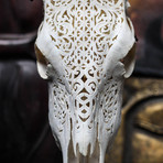 Hand Carved Cow Skull // Celtic 1