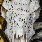 Hand Carved Cow Skull // Dragon 2