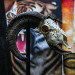 Hand Carved Ram Skull // Tribal 1