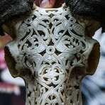 Hand Carved Ram Skull // Tribal 2