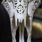 Hand Carved Cow Skull // Tribal 1