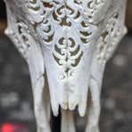 Hand Carved Cow Skull // Tribal 2