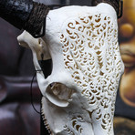 Hand Carved Cow Skull // Tribal 2