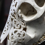 Hand Carved Cow Skull // Tribal 3