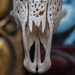 Hand Carved Cow Skull // Tribal 5