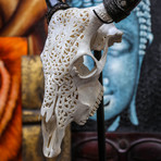 Hand Carved Cow Skull // Tribal 5