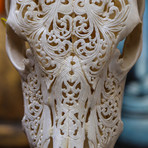 Hand Carved Cow Skull // Tribal 6