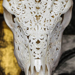 Hand Carved Cow Skull // Tribal 7