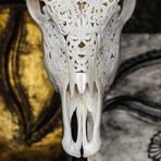Hand Carved Cow Skull // Tribal 7