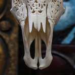 Hand Carved Cow Skull // Vine 2