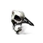 Raven Ring (Size: 13)