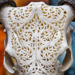 Hand Carved Cow Skull // 6 Circles